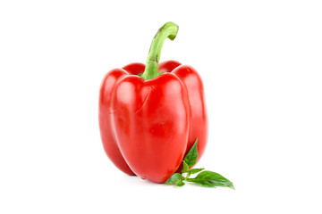 fresh bell pepper or capsicum, sweet pepper