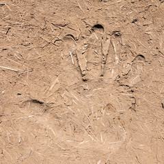 texture of clay and straw