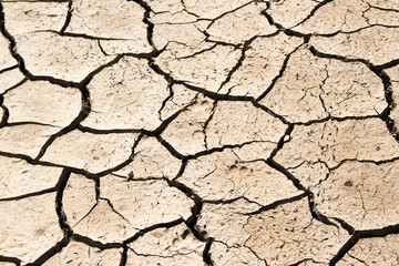 arid land.