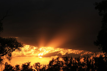 Summer sunrise on the river