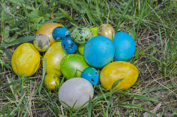 Easter eggs on the grass