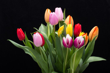 colorful bouquet of fresh spring tulip flowers