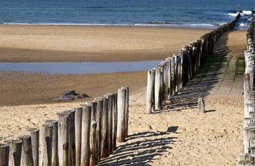 Naklejka premium Buhnen, niederländische Nordseeküste