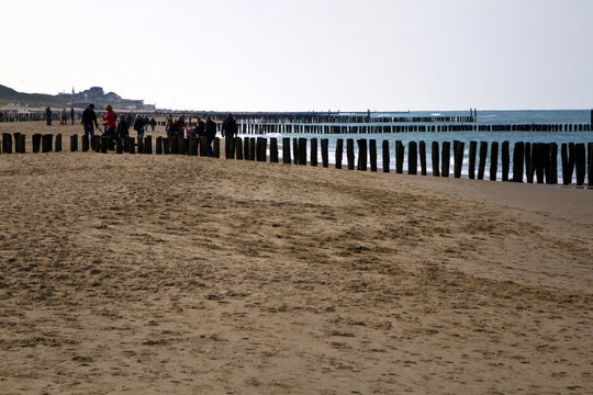 Buhnen, niederl&auml;ndische Nordseek&uuml;ste