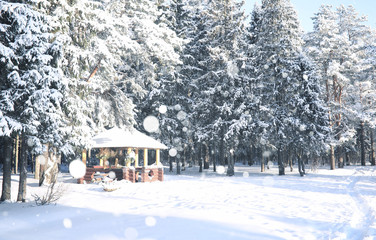 wooden gazebo in forest in the winter snow blizzard
