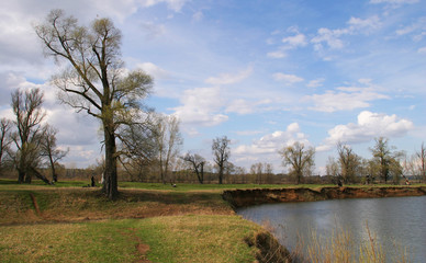 Obraz premium Spring on the River