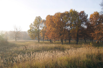 Fototapeta premium autumn landscape