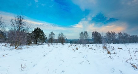 Polish typical winter rural landscape