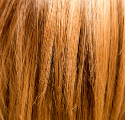 hair as a background