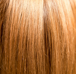 Naklejka premium hair as a background
