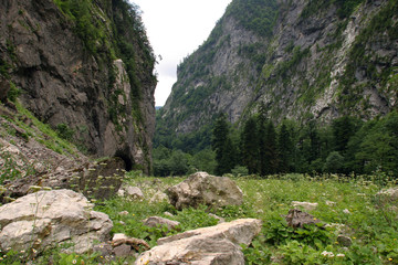 in the mountains of Abkhazia