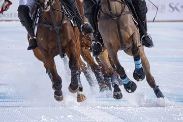 Verduisterende gordijnen Wintersport Snow polo  © Nikokvfrmoto