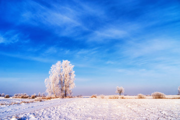 Łąki nad Narwią © podlaski49