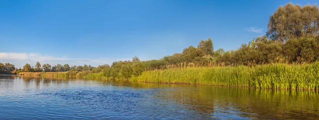 Zelfklevend Fotobehang Panorama van een kleine rivier in Polesie een zonnige zomerdag © Olesia Sarycheva