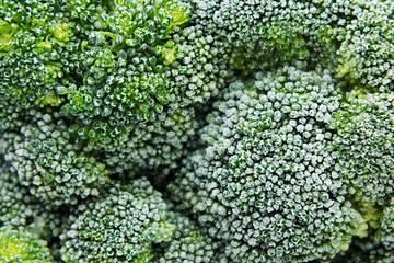Fresh frozen green broccoli with hoarfrost closeup as background. Healthy vitamin food.