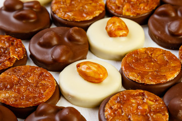 variety chocolate pralines