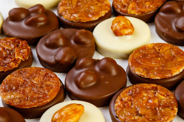 variety chocolate pralines