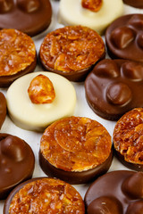 variety chocolate pralines