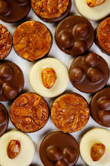 variety chocolate pralines