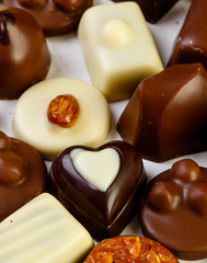 variety chocolate pralines