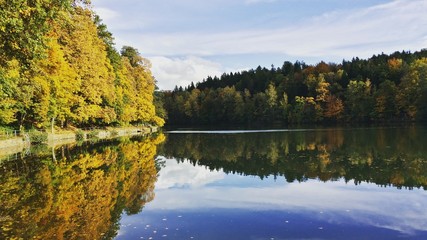 Autumn view at water surface where trees and sky are reflexing in water.