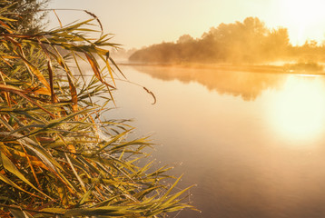 Foggy sunrise on a small river