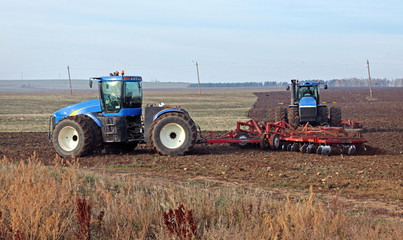 Fototapeta premium cultivation