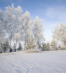 Walk through the beautiful winter scene in Russia