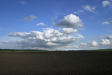 Obraz premium sunny day