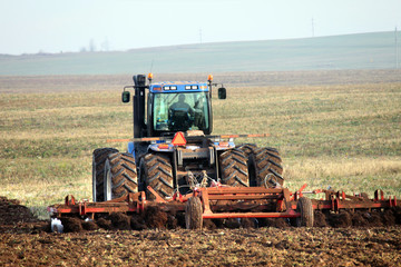 Fototapeta premium cultivation