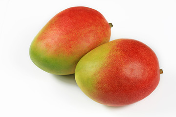 mangue