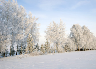 Obraz na płótnie Canvas Walk through the beautiful winter scene in Russia