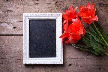 Empty blackboard and fresh coral tulips on vintage  wooden backg