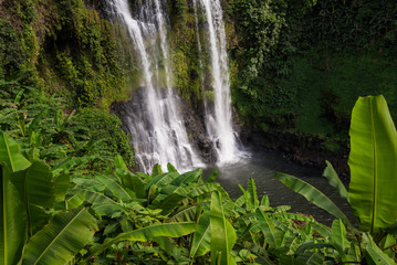 waterfall in deep forest at Pakse Laos