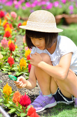 虫めがねで花を観察する女の子（麦わら帽子）