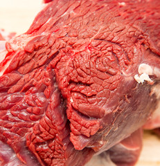 fresh meat as a background