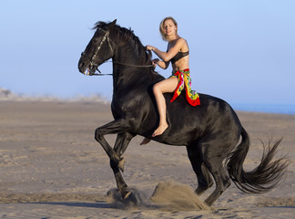 horsewoman on the beach © cynoclub