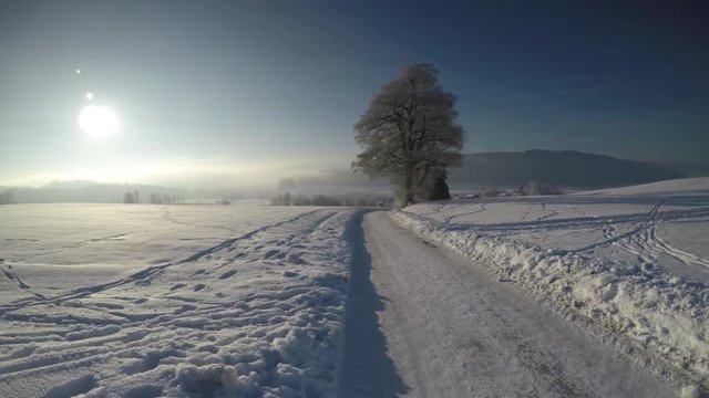 Tire tracks on snow covered landscape in bavaria, germany