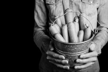 carrots bucket in hands - vegetarian and vegan people