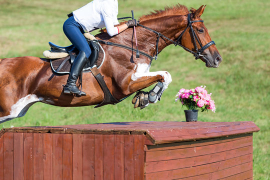 Horse jumping over obstacle at eventing cross competition.