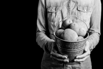 potatoes bucket in hands - vegetarian and vegan people