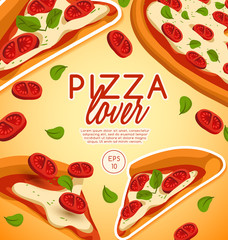 Pizza Elements : Vector Illustration
