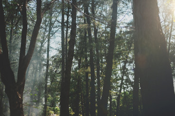 Quite Park Season Lonely Fallen Autumn Concept