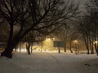 Park nocą © michalsen