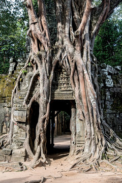 Ta Som (Prasat Ta Saom), part of Khmer Angkor temple complex