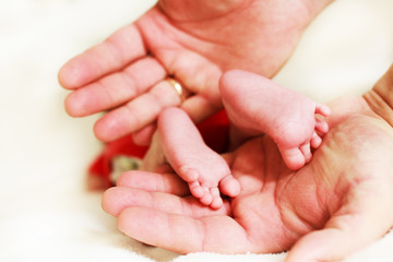 newborn feet on a white background in the father's hand
