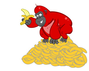 Red Gorilla Bananas