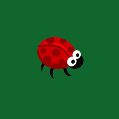 Cartoon Lady bug
