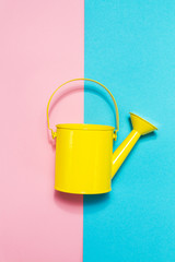 Colorful Watering Can on Colored Background. Flat Lay. Minimalis