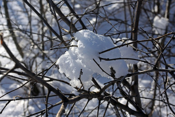 Snowy winter landscape